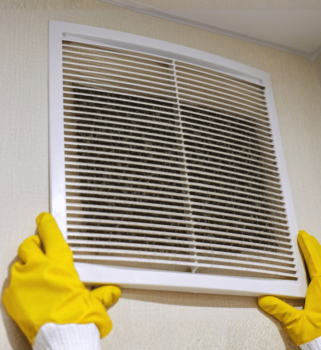annual dryer vent cleaning